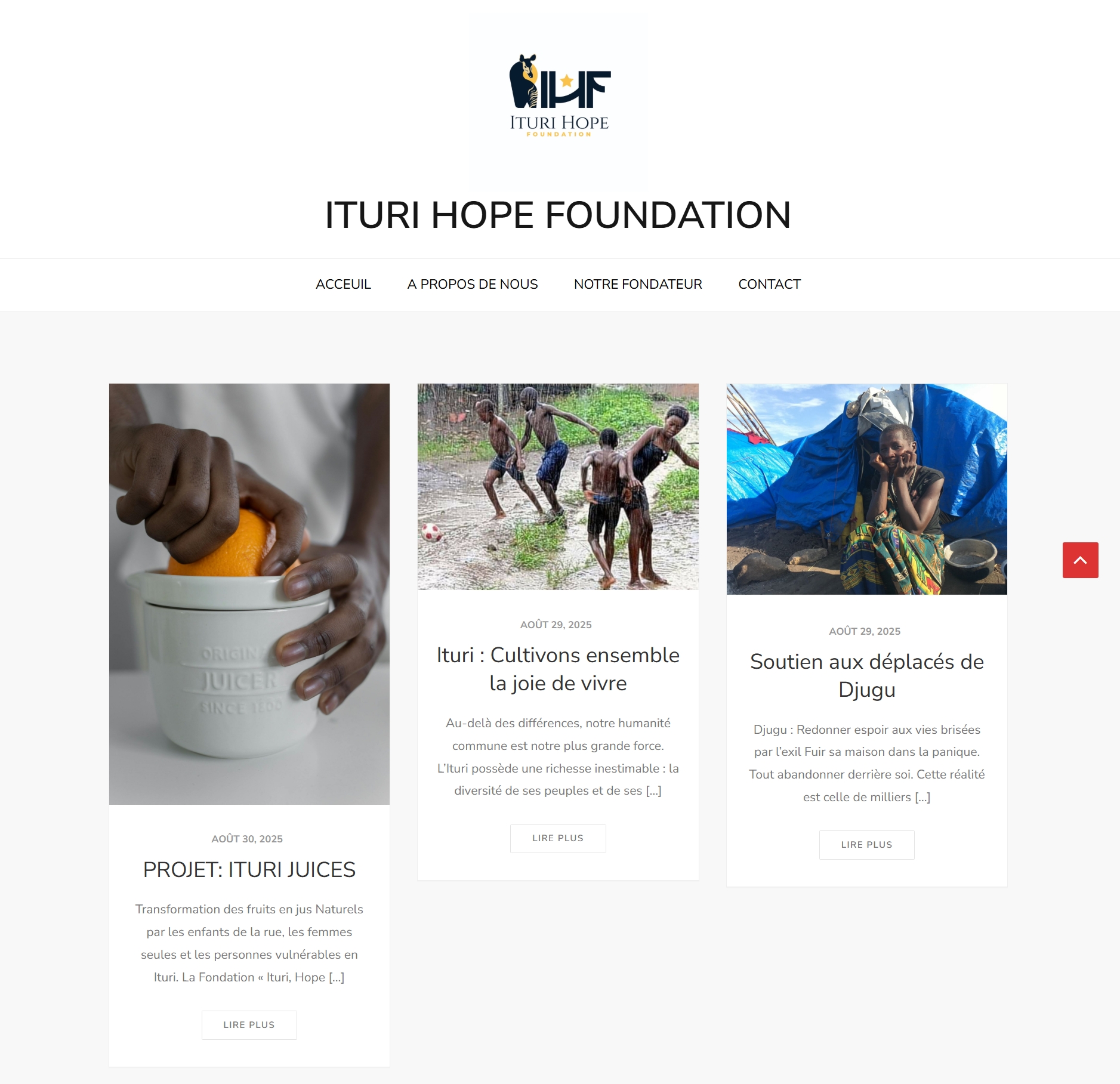 Capture d’écran_14-2-2026_172644_charityihf.org